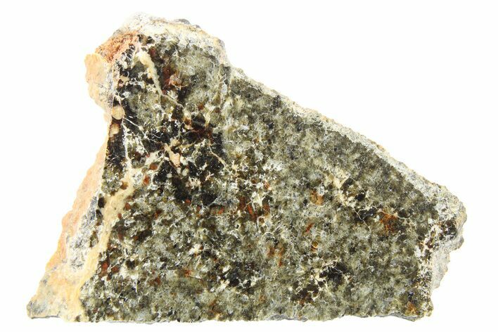 Polished Martian Meteorite Slice ( g) - NWA #262795